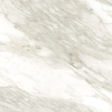 K023 Venato