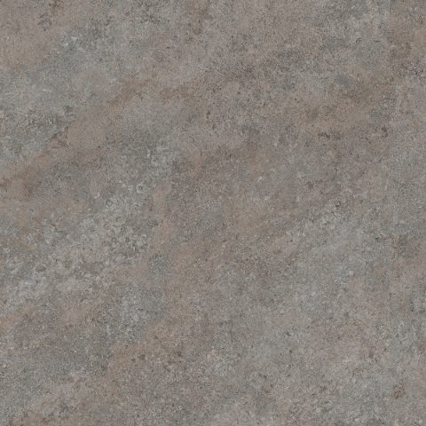 K540 Grey Albus
