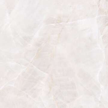 R196 Ivory Onyx Gloss