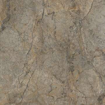 R104 Rainforest Brown